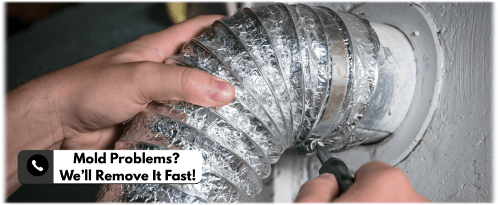 Air Duct Mold Removal in Baltimore